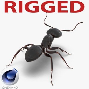 Black Ant Rigged for Cinema 4D