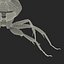 Black Ant Rigged for Cinema 4D