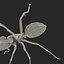 Black Ant Rigged for Cinema 4D