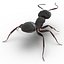 Black Ant Rigged for Cinema 4D