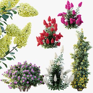 AV Climbing Roses Bush and Hydrangea Paniculata Levana Trawberry Melba 3D model