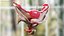 Girl Urogenital System