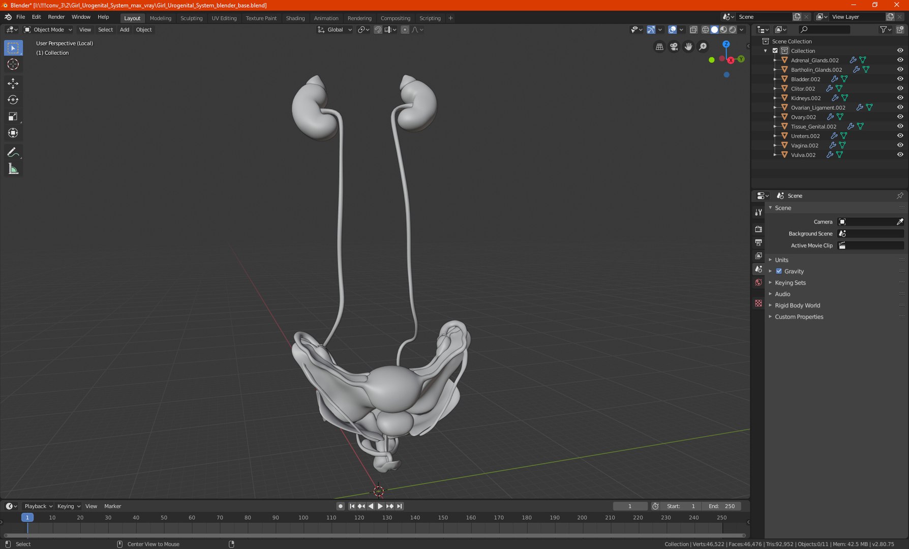 Girl Urogenital System 3D https://p.turbosquid.com/ts-thumb/Gg/NXbqnk/0k/girlurogenitalsystem3dsmodel023/jpg/1661744887/1920x1080/fit_q87/ff35d917b2b6997ff2c80972223c187d1773bf7a/girlurogenitalsystem3dsmodel023.jpg