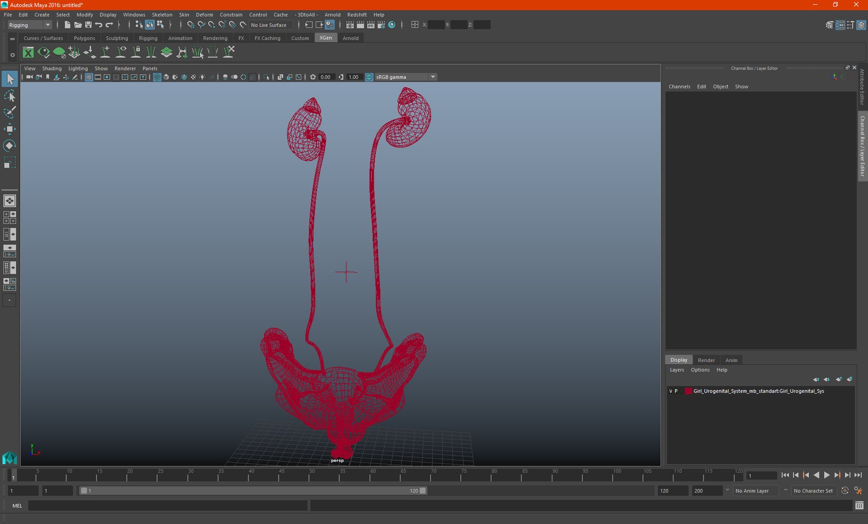Girl Urogenital System 3D https://p.turbosquid.com/ts-thumb/Gg/NXbqnk/MF/girlurogenitalsystem3dsmodel022/jpg/1661744885/1920x1080/fit_q87/7cf422548f68f2fbdc21d34fe1d2e7a578f5cb08/girlurogenitalsystem3dsmodel022.jpg