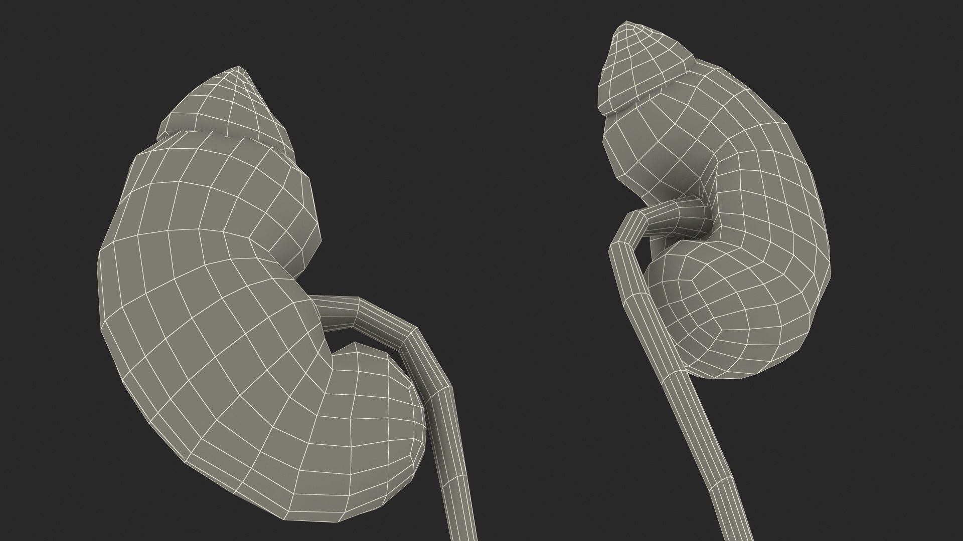 Girl Urogenital System 3D https://p.turbosquid.com/ts-thumb/Gg/NXbqnk/l4/girlurogenitalsystem3dsmodel027/jpg/1661744900/1920x1080/fit_q87/9f98c86f4d19ba793dde981e65a2f64e0ec3db2c/girlurogenitalsystem3dsmodel027.jpg