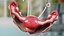 Girl Urogenital System
