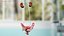 Girl Urogenital System