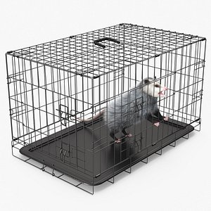 3D Angry Opossum in Cage Fur model
