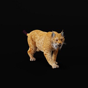 3D Carpathian Lynx model