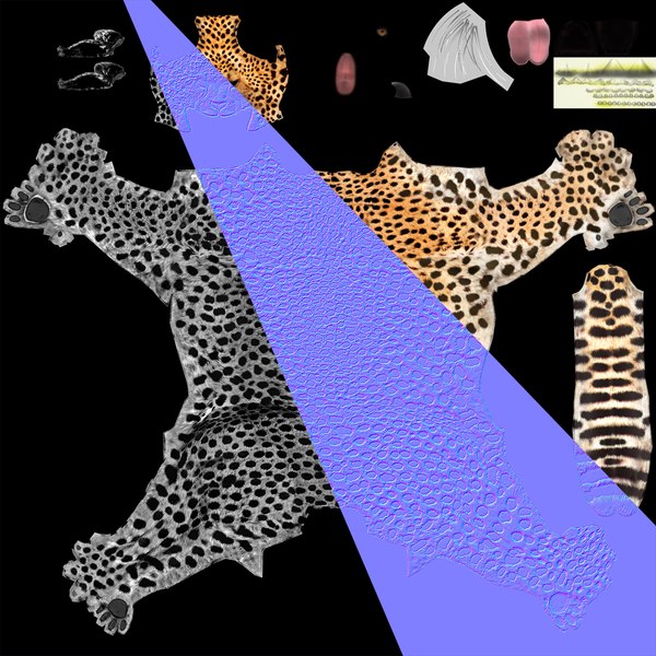 guepardo Modelo 3D - TurboSquid 1437995