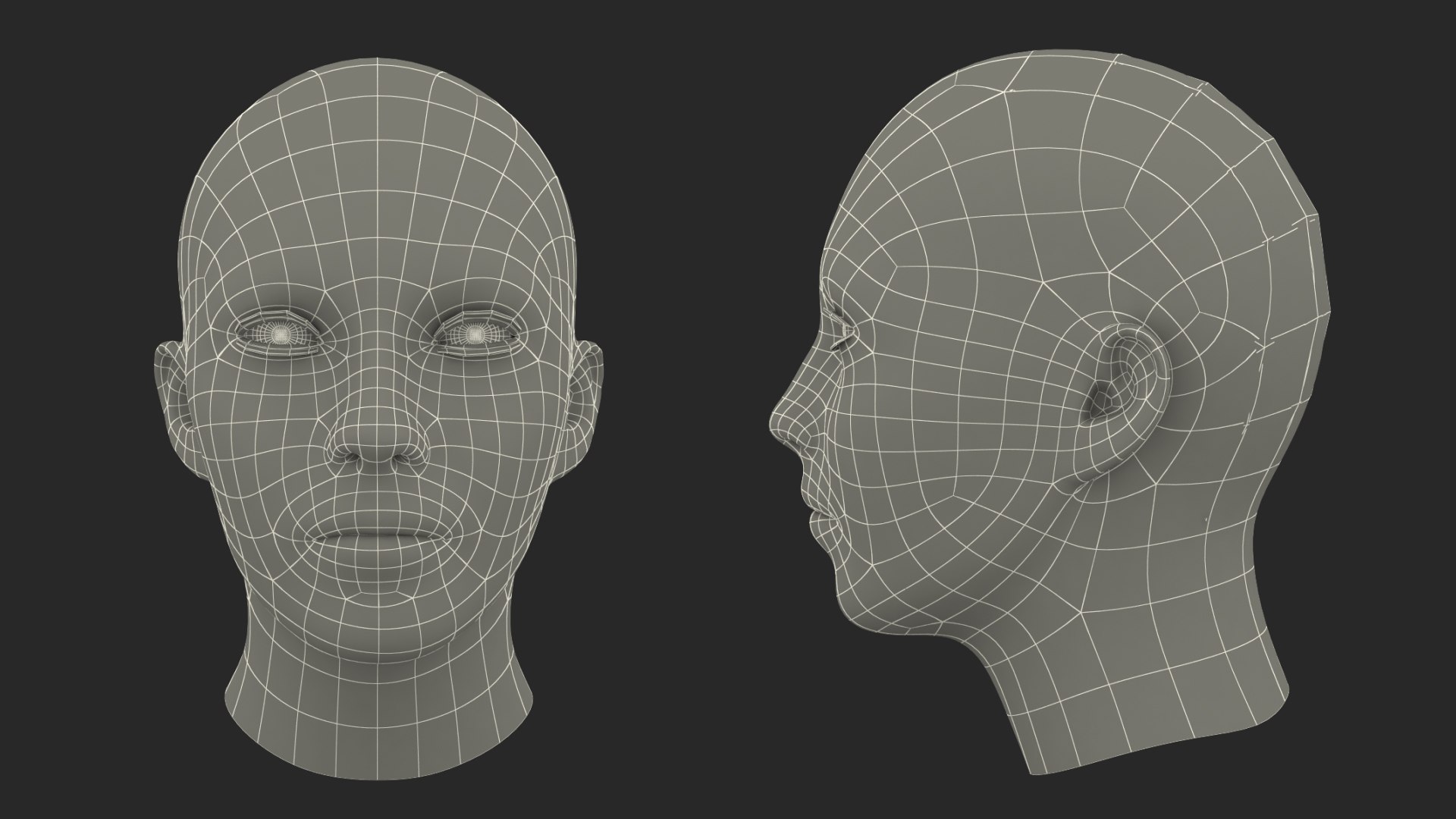 3D female bald head woman model - TurboSquid 1693872