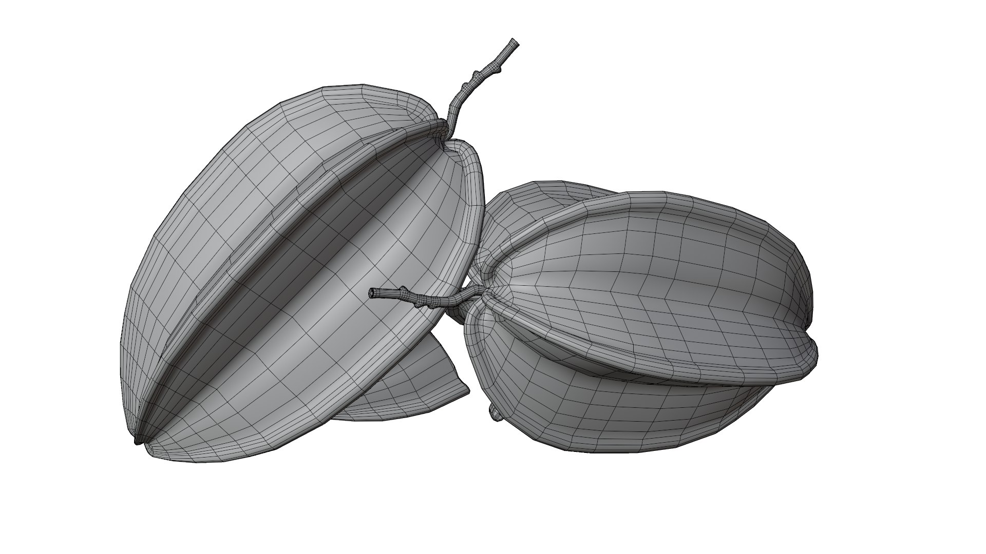 Star Fruit Model - TurboSquid 1939921