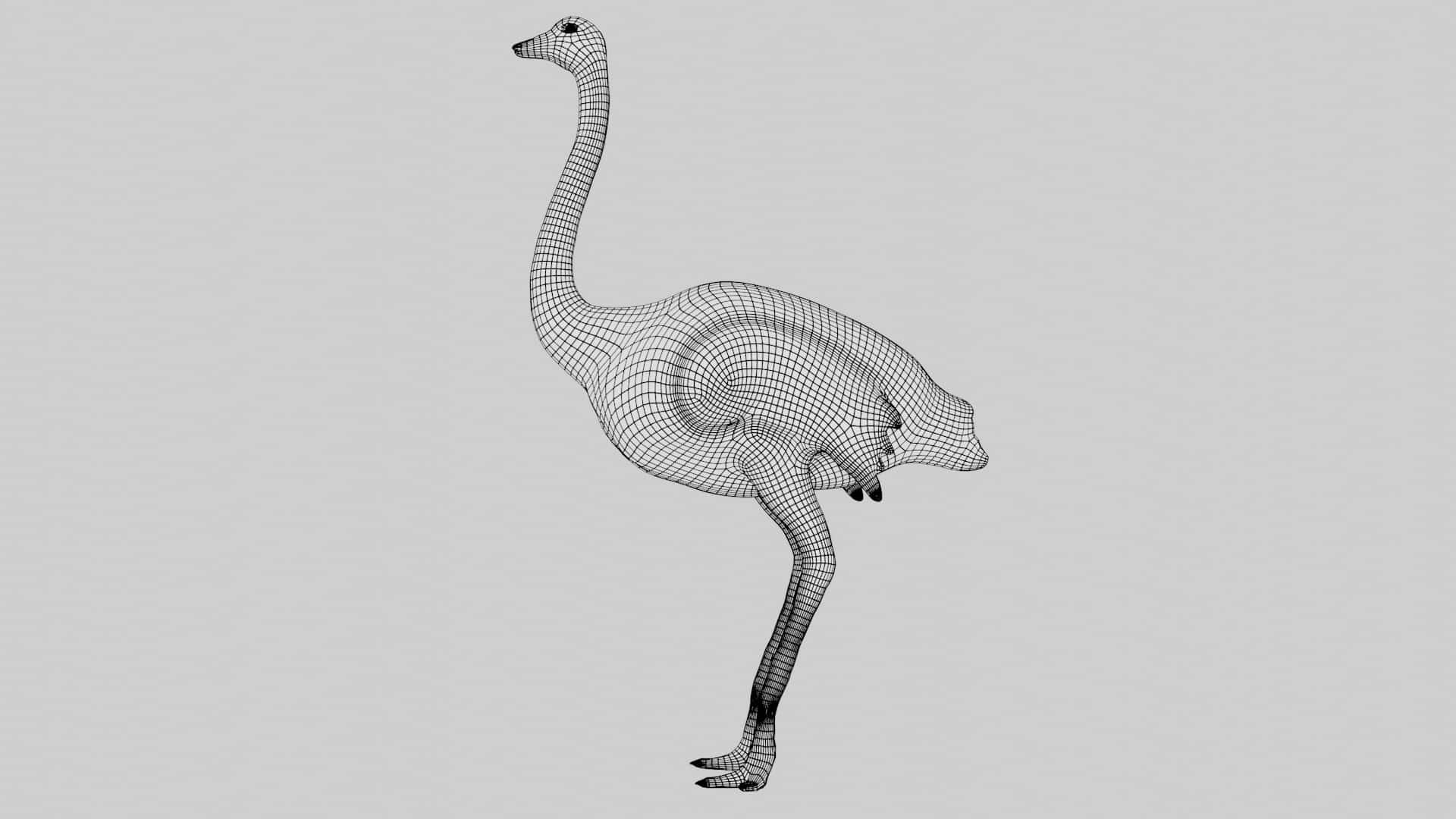 Realistic Rigged Emu 3D Model - TurboSquid 1683852