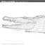 3d morelli crocodile - alligator model
