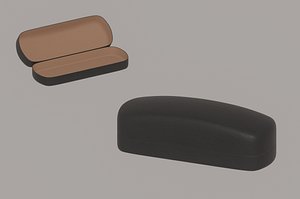 Glasses Case 3D