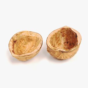 walnut shells 3D model