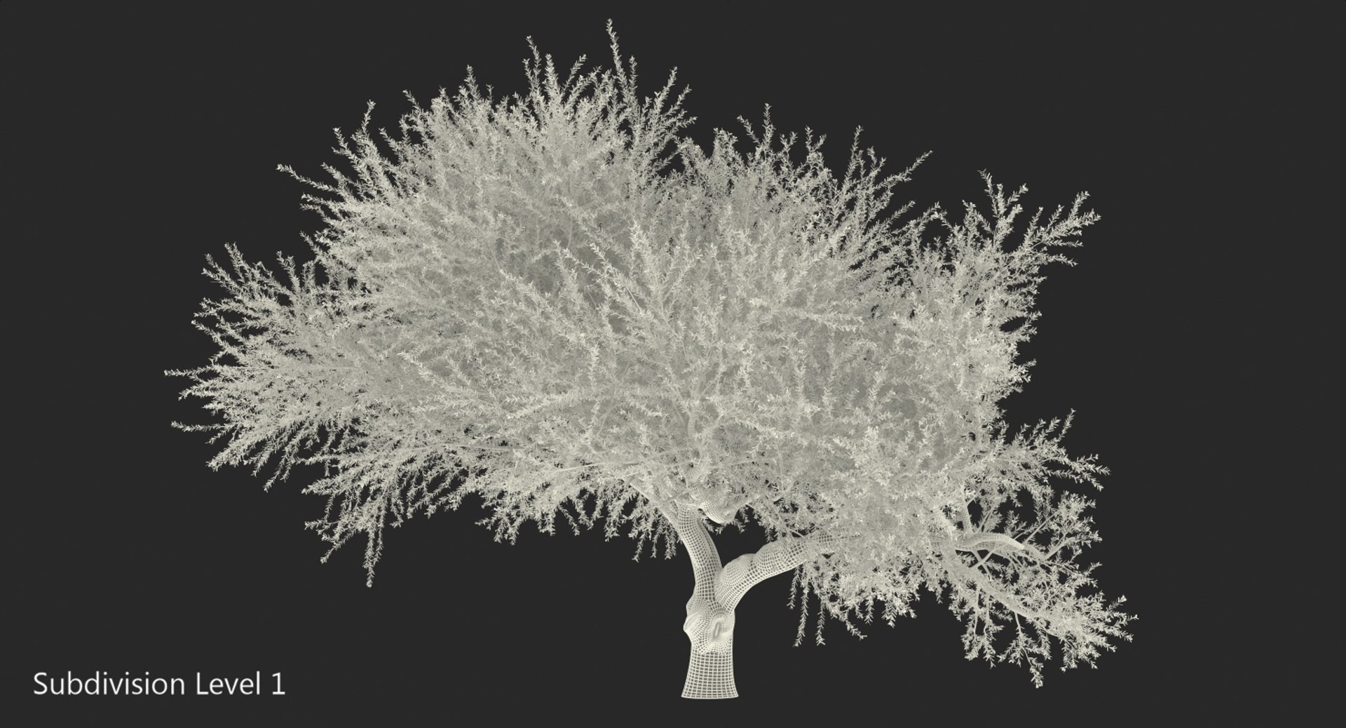 3D olive tree model - TurboSquid 1394317