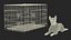 West Highland White Terrier couché dans une cage en fourrure