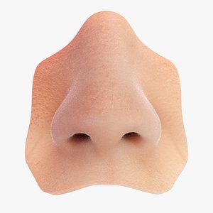 Nose