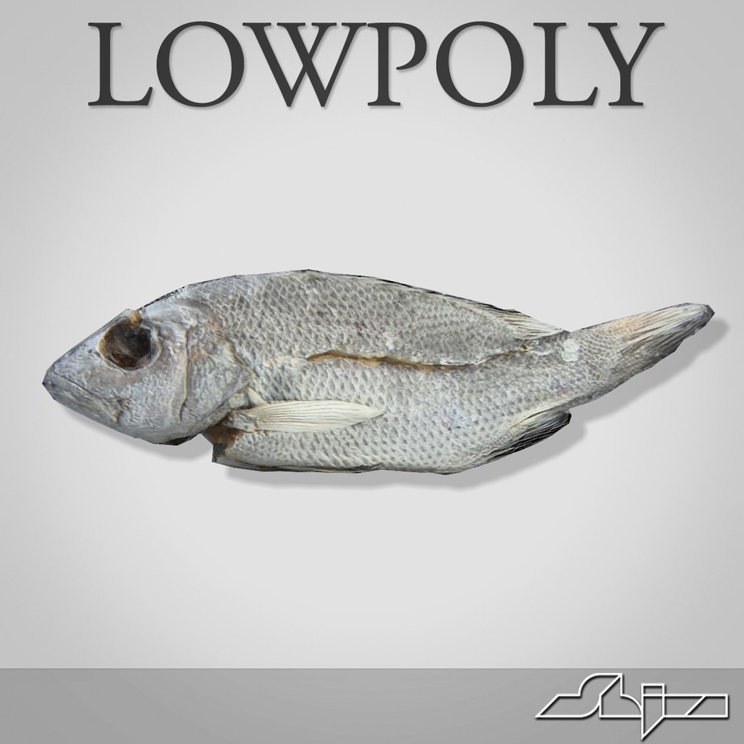 3d Dry Fish