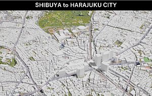 Shibuya-Harajuku city 3D model 3D printer