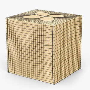 Boxed Freight with Full Containment Net Beige and Black
