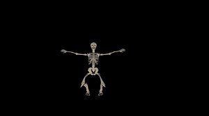 3D skeleton rising