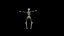 Skeleton Rising