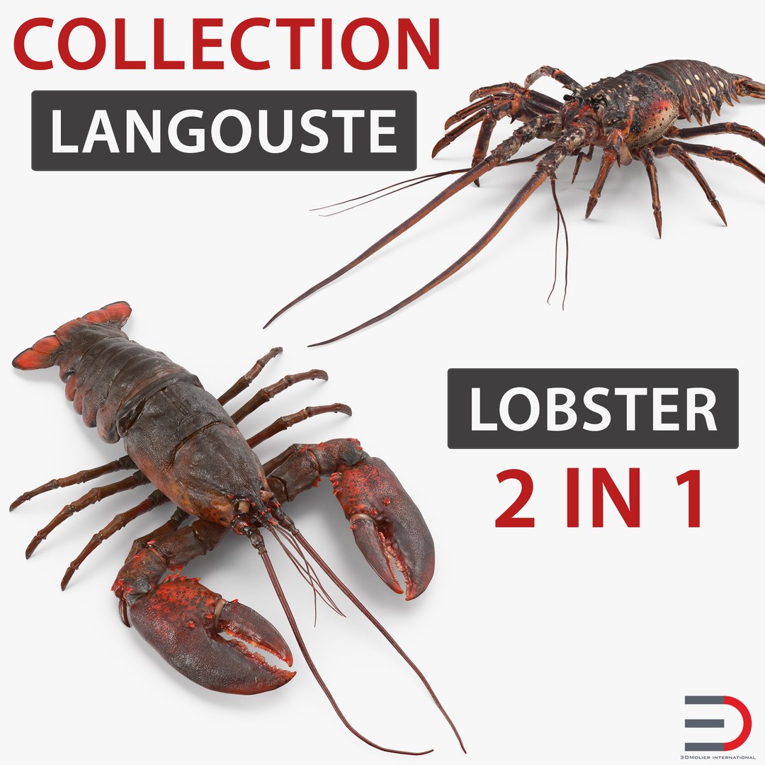 Lobster and Langouste Collection 3D model preview
