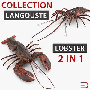 Lobster and Langouste Collection