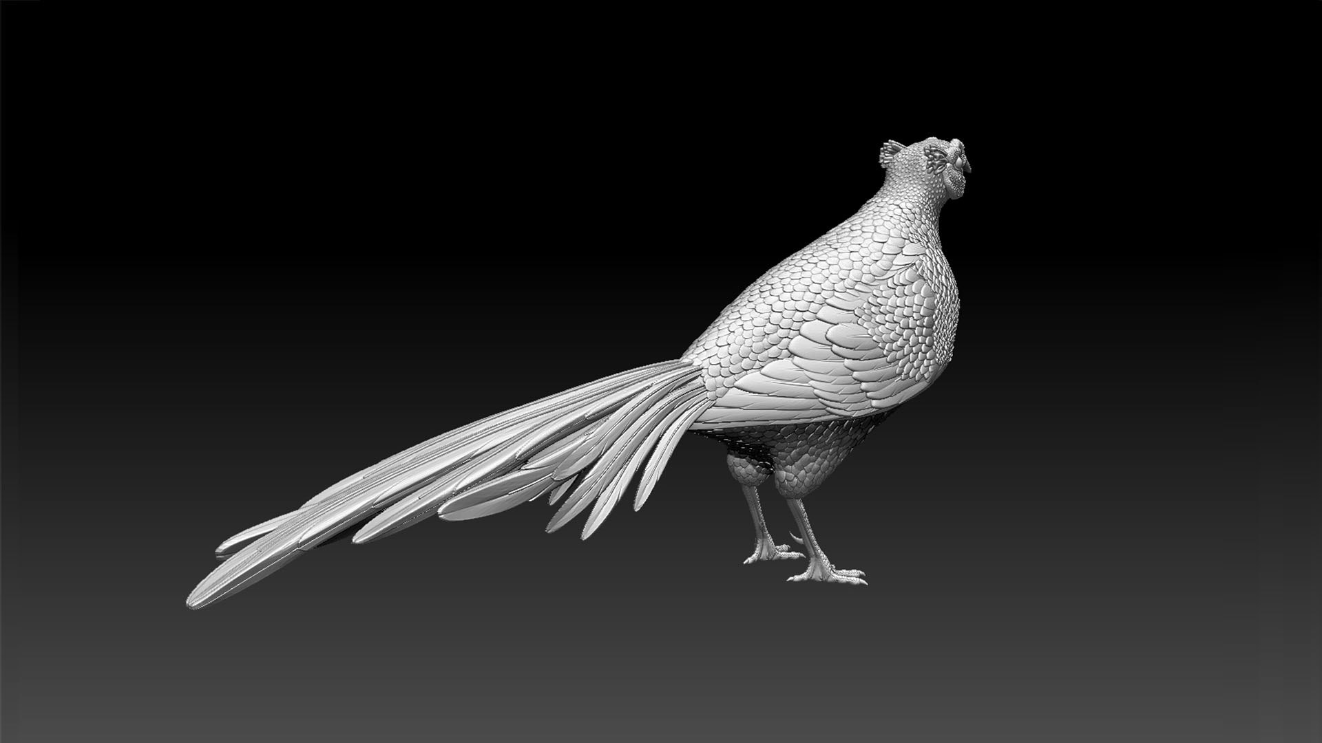 3D pheasant model https://p.turbosquid.com/ts-thumb/Gi/Na0gxn/WT/12321321321/jpg/1663060489/1920x1080/fit_q87/9c4123264011a45c4b8264d89e892f8fa50a037c/12321321321.jpg