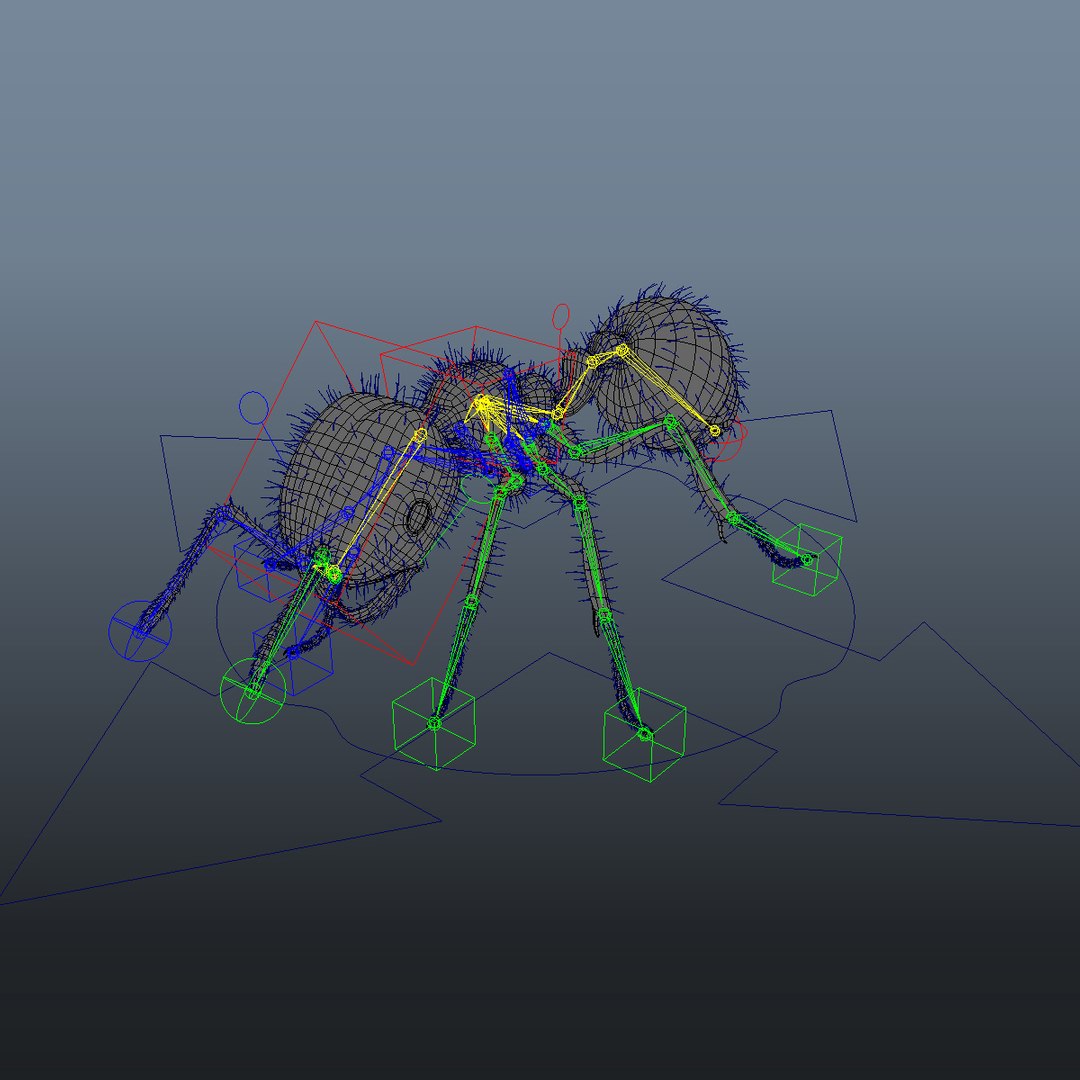 3d ant animation model https://p.turbosquid.com/ts-thumb/Gi/RvCcQN/32e91FIg/2/jpg/1360223119/1920x1080/fit_q87/34a95e51f007c4c0034a65590e0492f7cbc776fc/2.jpg