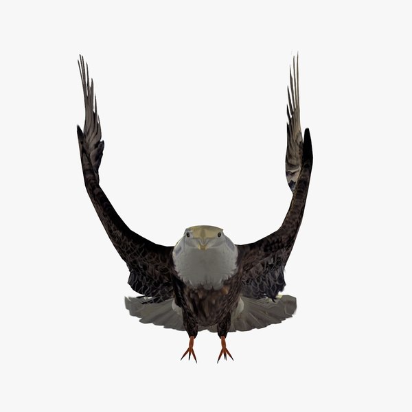 grey eagle flapping wings c4d