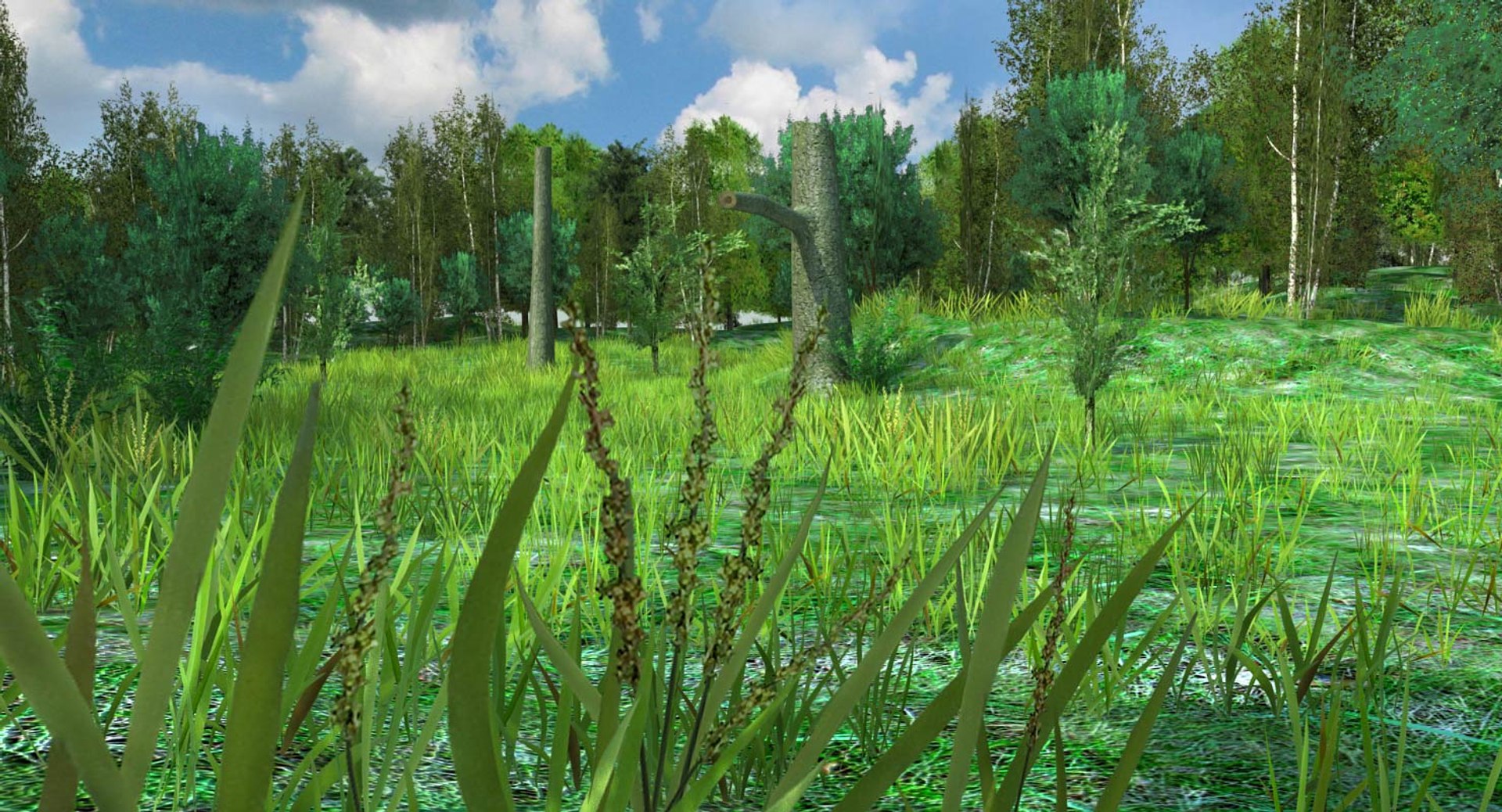 3d meadow ready games forest model https://p.turbosquid.com/ts-thumb/Gi/bdMMCm/RorjOfF6/forestmin_010/jpg/1437428546/1920x1080/fit_q87/4b1bcc6559b32d6344fc2223b5ab6936379ba352/forestmin_010.jpg
