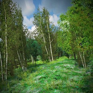 Forest Meadow Game Ready Landscape