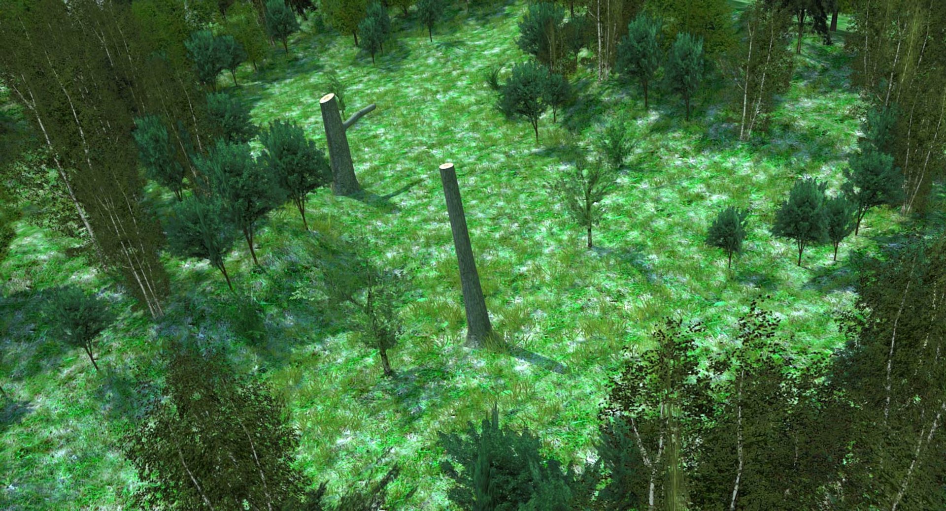 3d meadow ready games forest model https://p.turbosquid.com/ts-thumb/Gi/bdMMCm/mOeDerLZ/forestmin_006/jpg/1437428546/1920x1080/fit_q87/1dc877b3ea7274672ec6230f6de91d1661de0ce1/forestmin_006.jpg