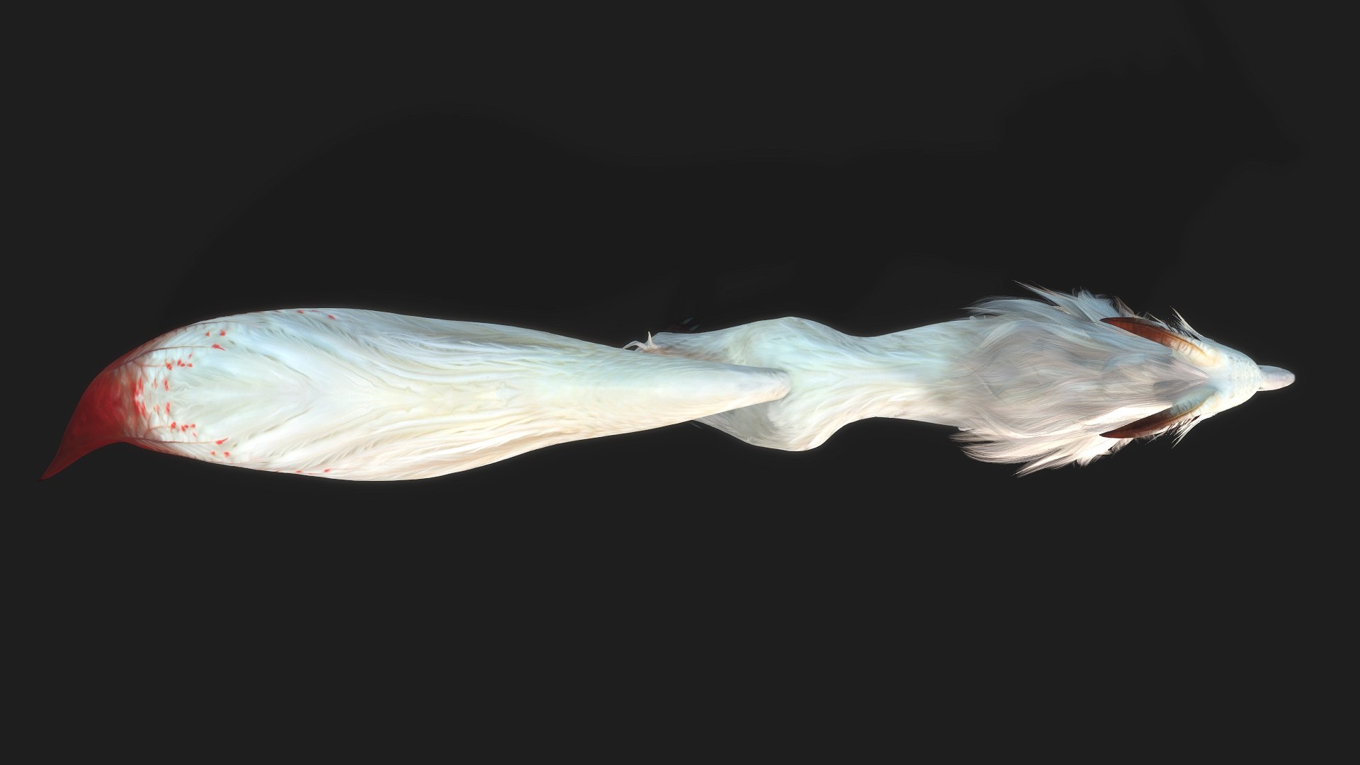 3D Fox-C1 https://p.turbosquid.com/ts-thumb/Gi/fqsBMo/ZM/preview5/jpg/1765767706/1920x1080/fit_q87/64d073e393bd7522855d64af6f3129e23b79ca04/preview5.jpg