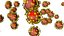 Corona virus covid 19