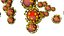Corona virus covid 19