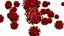 Corona virus covid 19