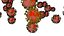Corona virus covid 19