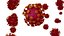 Corona virus covid 19