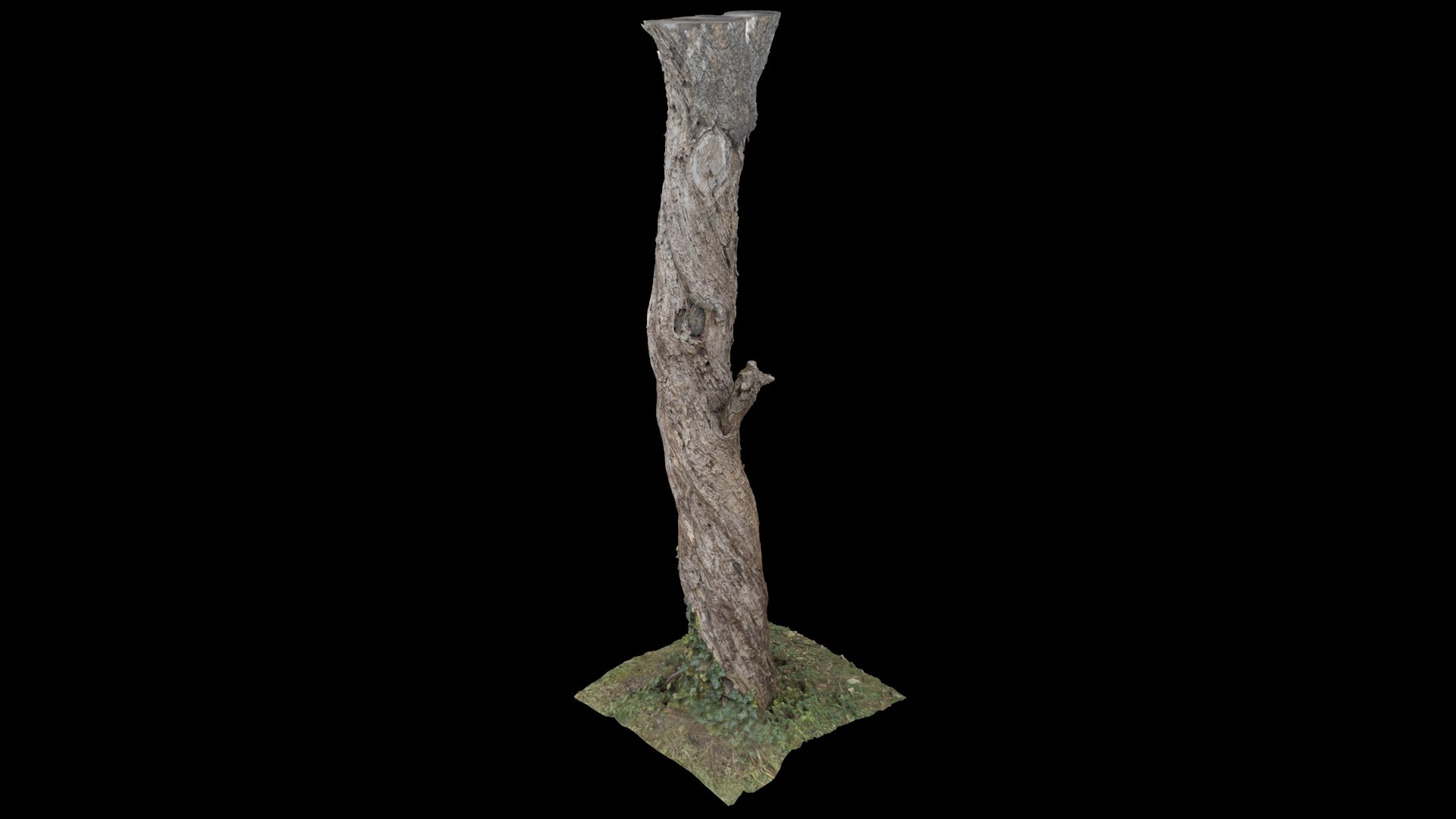 3D Withered Tree Trunk - TurboSquid 2118000