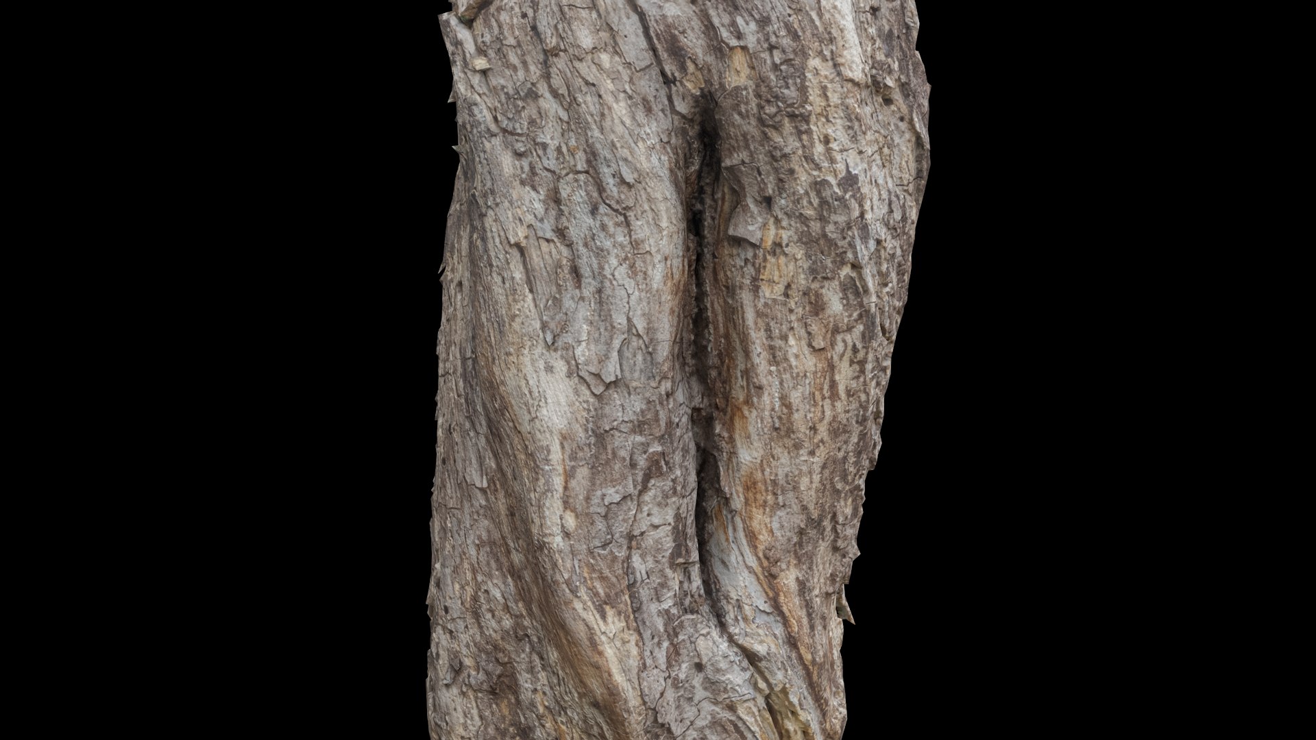 3D Withered Tree Trunk - TurboSquid 2118000