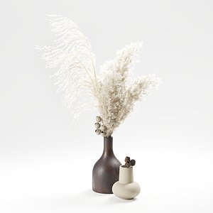 3D model set vases pampas grass