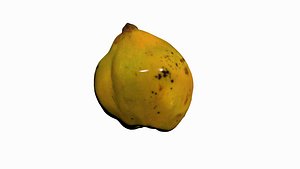 3D quince scan scanner