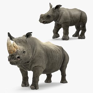 rhinos fur 3D