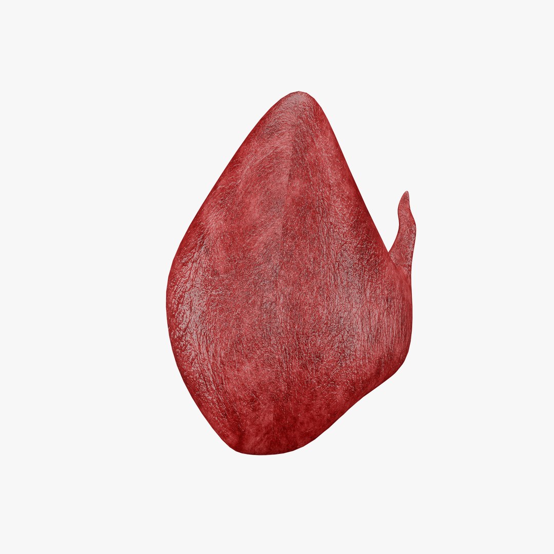 Thyroid 3D Model model https://p.turbosquid.com/ts-thumb/Gj/8xLZdY/Pe/16/png/1713019864/1920x1080/fit_q87/9117dcce1eb4da2f4fe09f68e976df568a477ce8/16.jpg