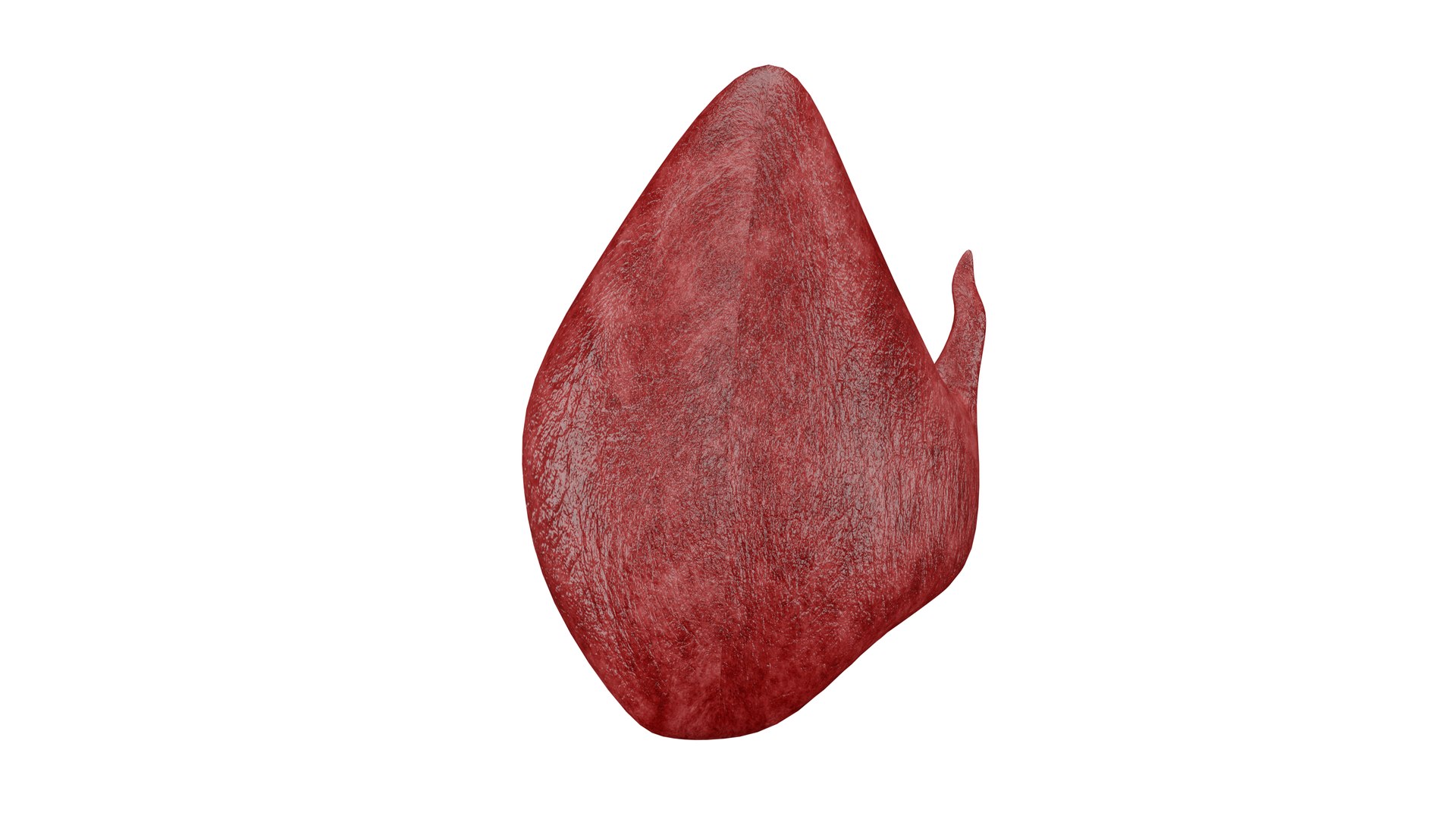 Thyroid 3D Model model https://p.turbosquid.com/ts-thumb/Gj/8xLZdY/TM/3/png/1713019918/1920x1080/fit_q87/a385972fb94b6c71a5e83da2f105857437427f01/3.jpg