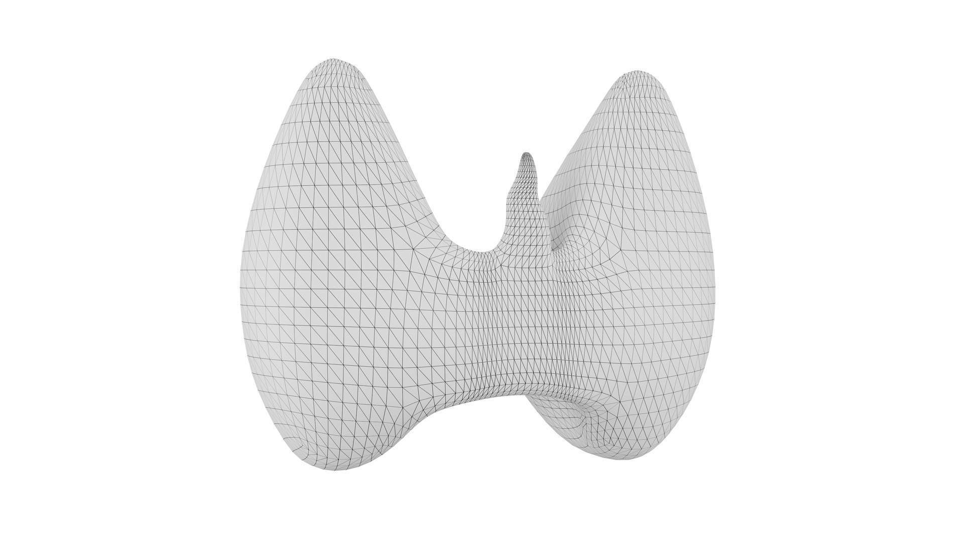 Thyroid 3D Model model https://p.turbosquid.com/ts-thumb/Gj/8xLZdY/ir/13/png/1713020044/1920x1080/fit_q87/4bd3eeb444fd3062a6bda0ce8c8693687d4fbc3b/13.jpg